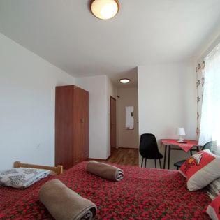 "U Skowronkow" Bed & Breakfast Bukowina Tatrzanska Luaran gambar